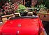1970 MG MGB for sale 101044256